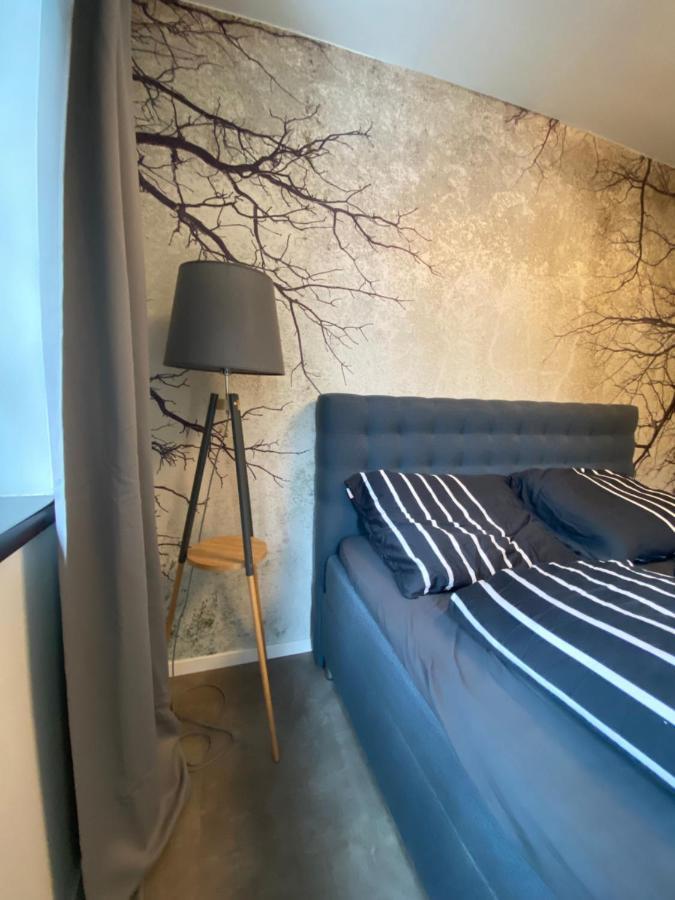 Vila Helena - Apartman Helena 16 鲁容贝罗克 外观 照片